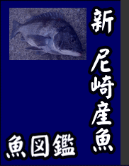 江戸時代の漁師さんが尼崎の海で獲っていた魚については 尼崎産魚 と言う書物が残されており 江戸時代にも多くの魚が獲れていたという資料が残されております 現在尼崎の海で釣り人が１年間に釣っている魚 何種類の魚が 居てると思いますか